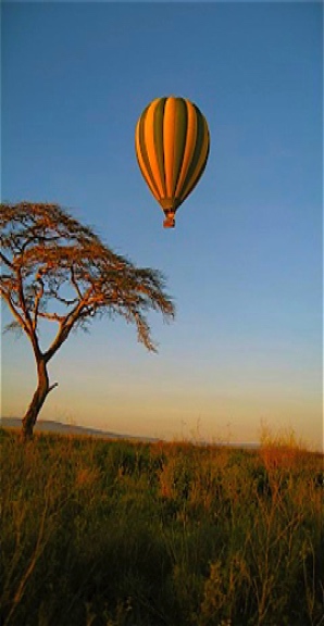 From the Serengeti a million cheers Pour